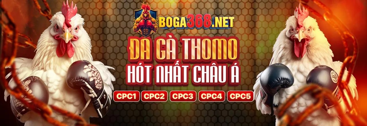 Cá Cược Thể Thao m8win Chính Thức 2026